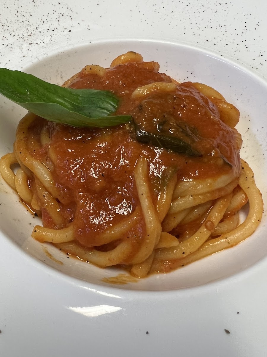 Trattoria Verdi Firenze Photo 4