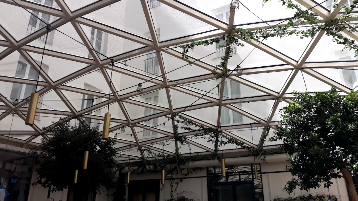 Café de la Plaza Photo 2
