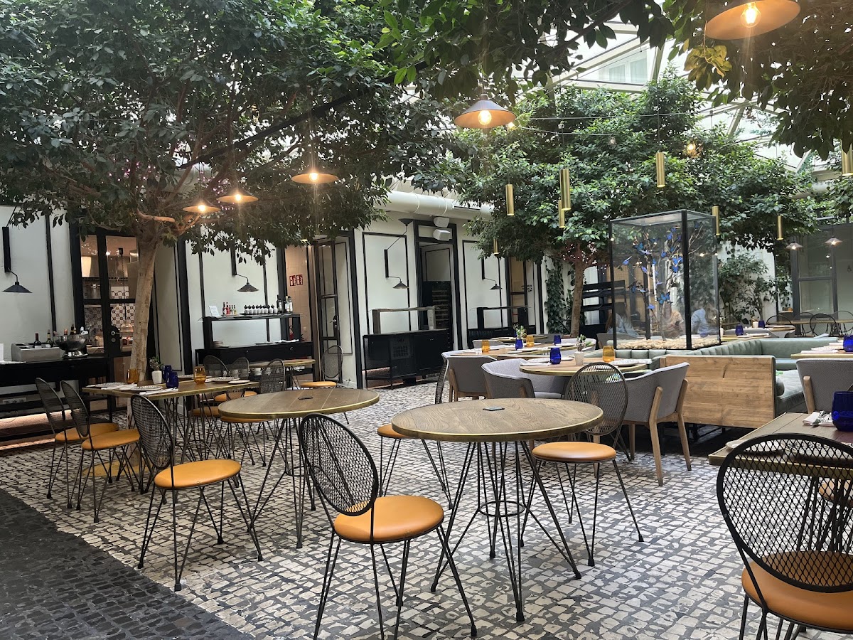 Café de la Plaza Photo 4