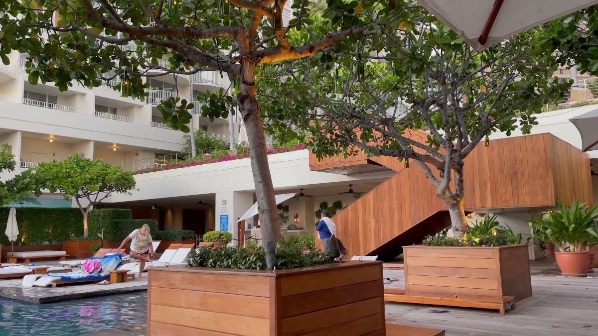 The Grove Restaurant & Bar Photo 2