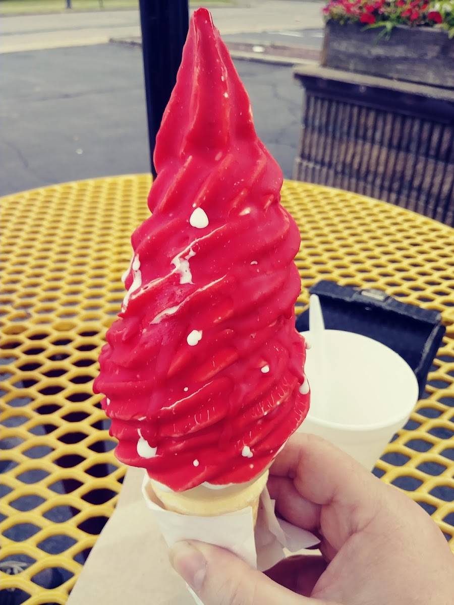Hokey Pokey's Ice Creamery Photo 7