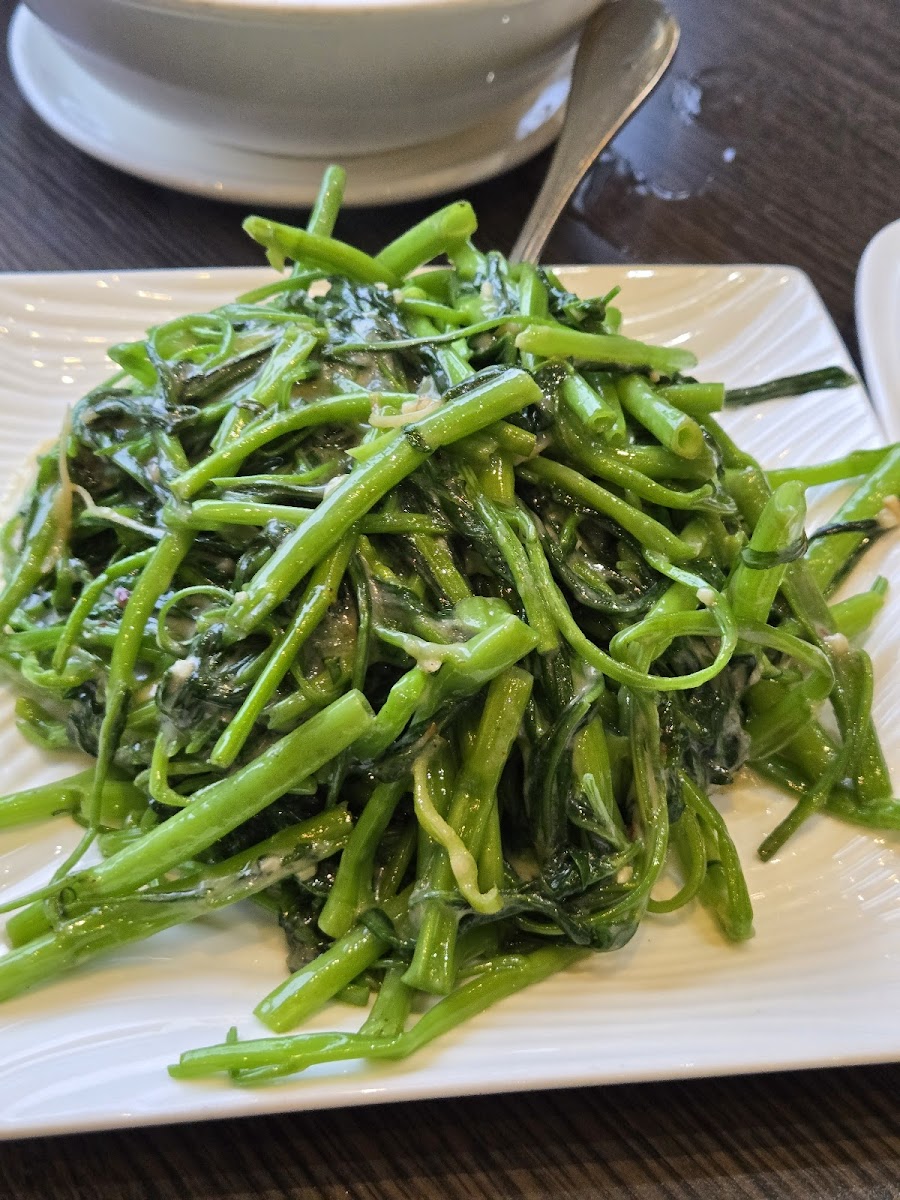 Bayview Garden Restaurant Photo 4