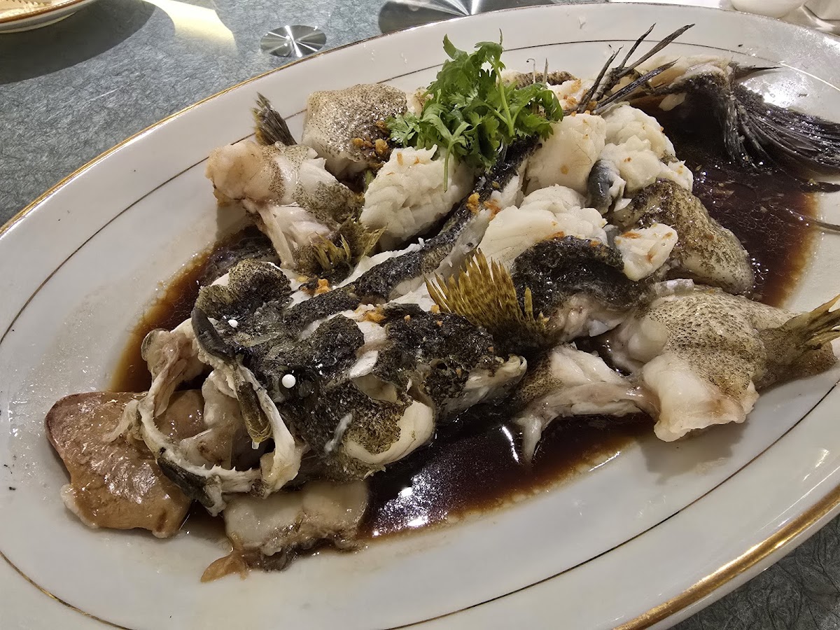 Imperial Paragon Cuisine 百麗皇朝 Photo 4