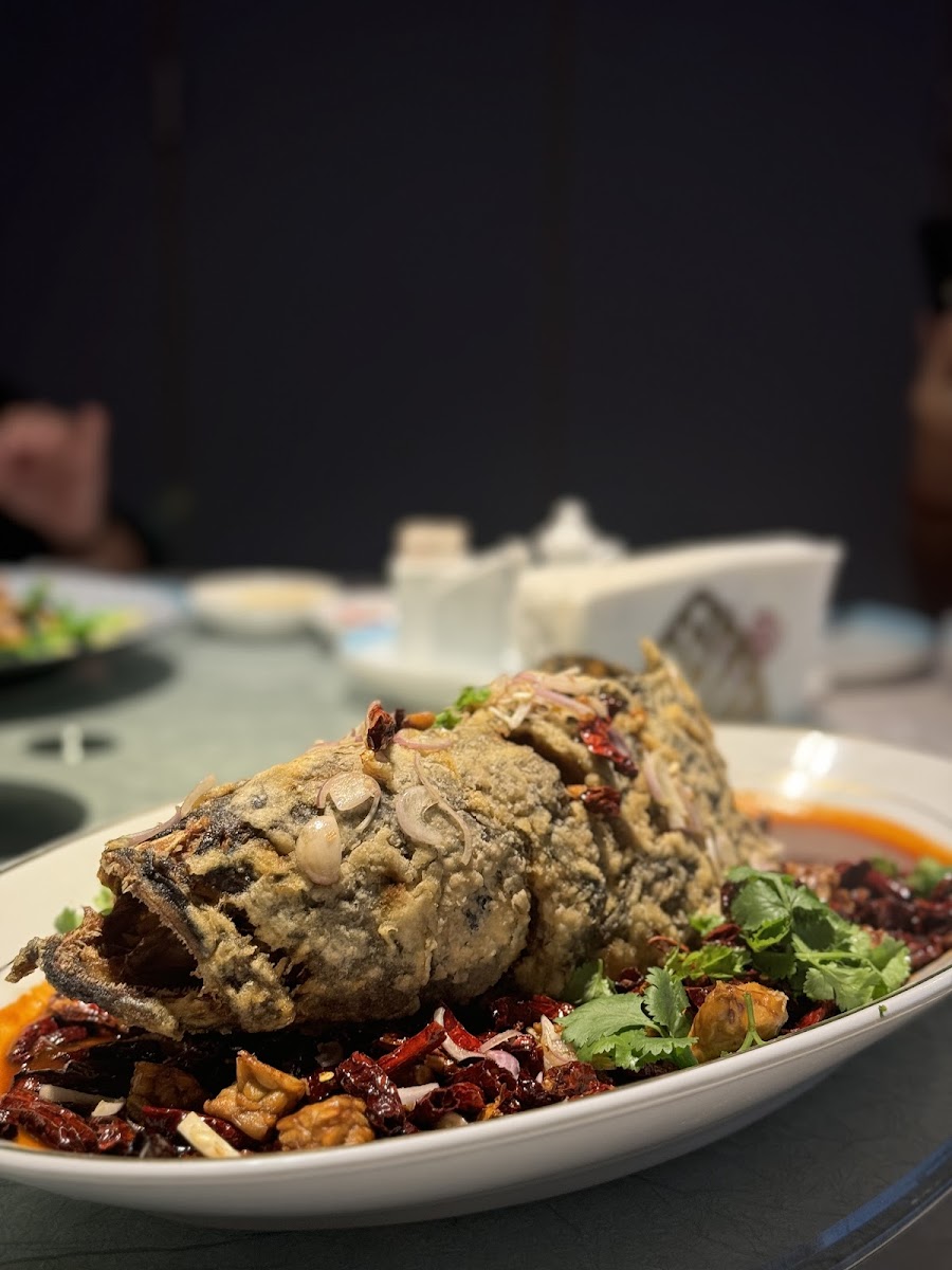 Imperial Paragon Cuisine 百麗皇朝 Photo 6