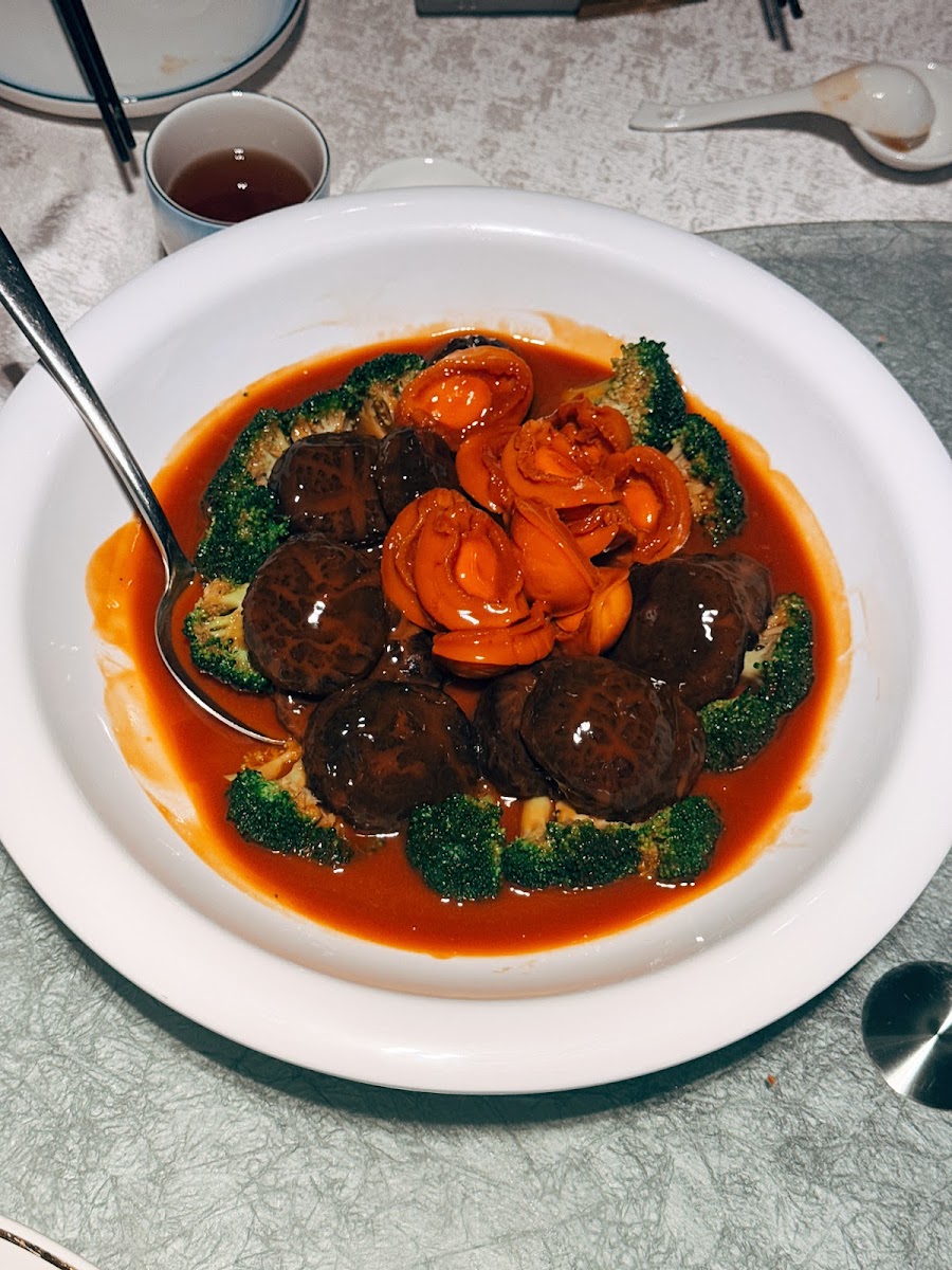 Imperial Paragon Cuisine 百麗皇朝 Photo 8