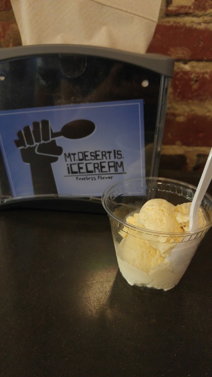 Mount Desert Island Ice Cream Photo 10