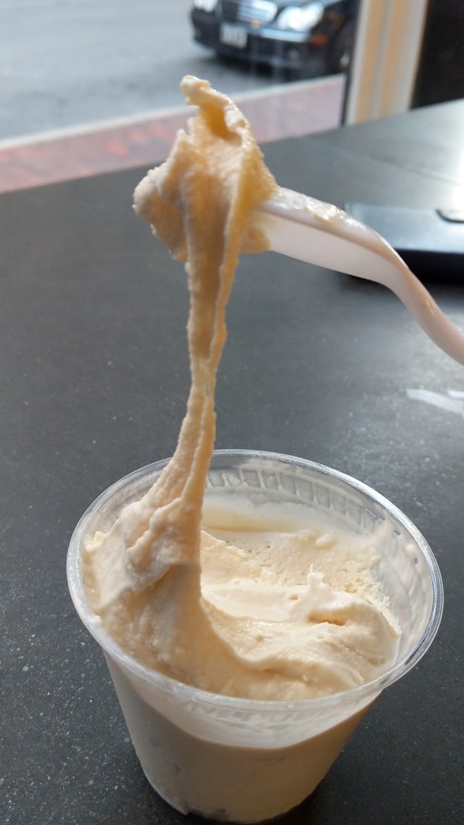Mount Desert Island Ice Cream Photo 2