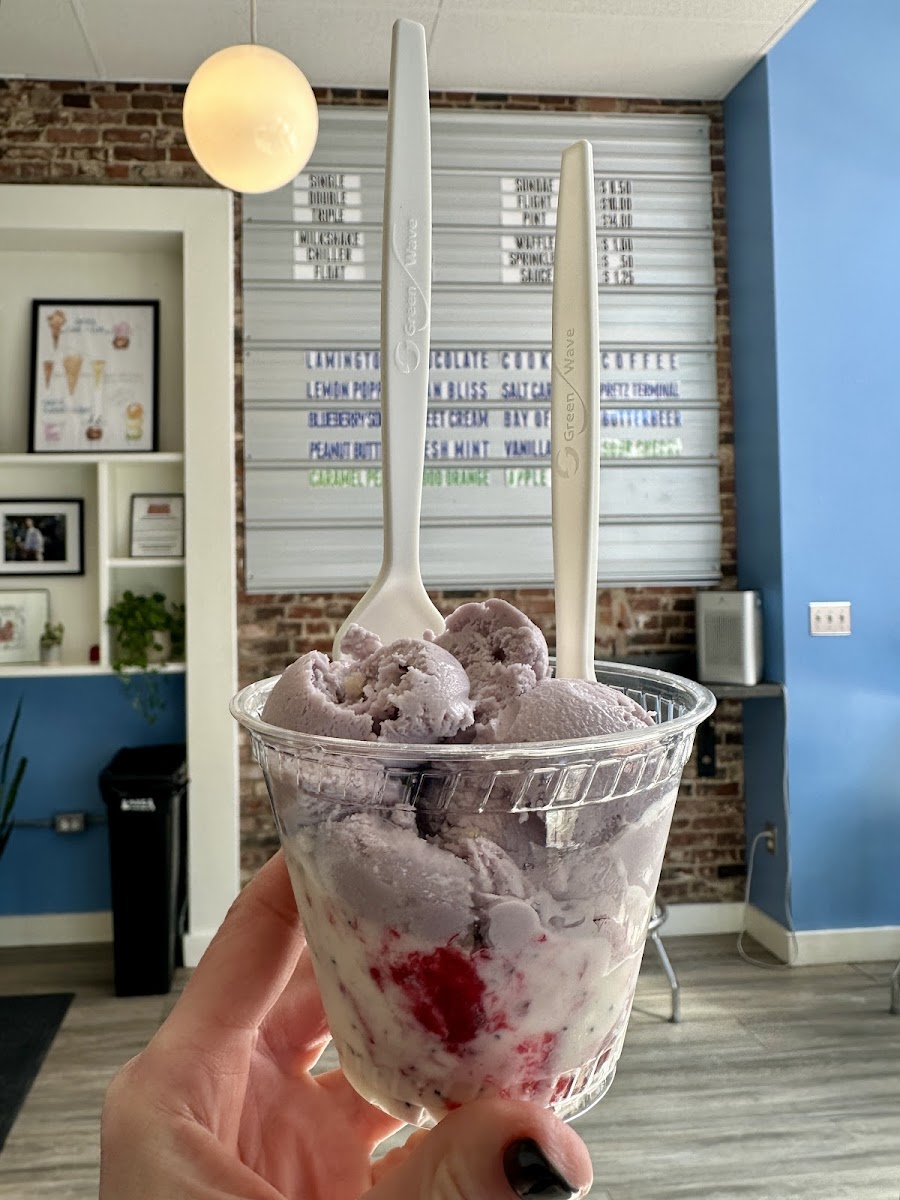 Mount Desert Island Ice Cream Photo 3