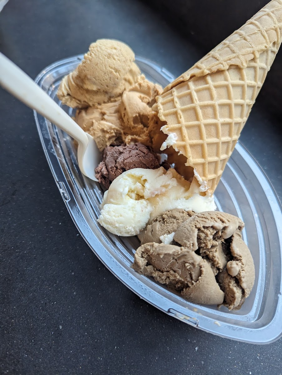 Mount Desert Island Ice Cream Photo 5