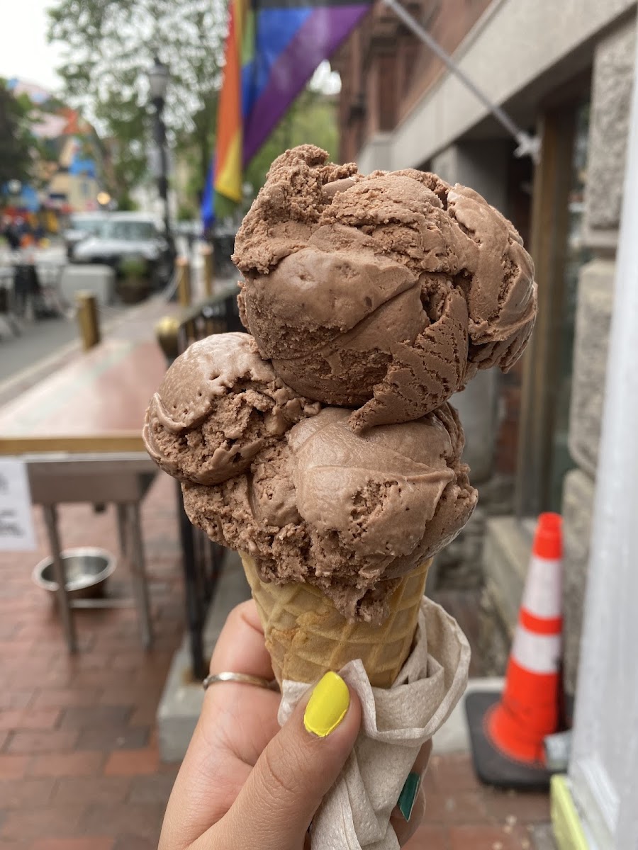 Mount Desert Island Ice Cream Photo 7