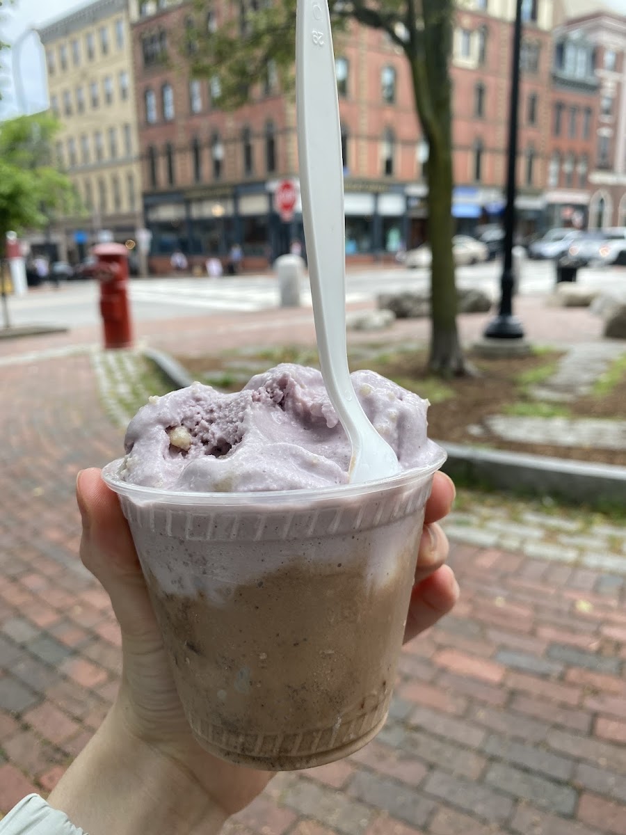 Mount Desert Island Ice Cream Photo 8
