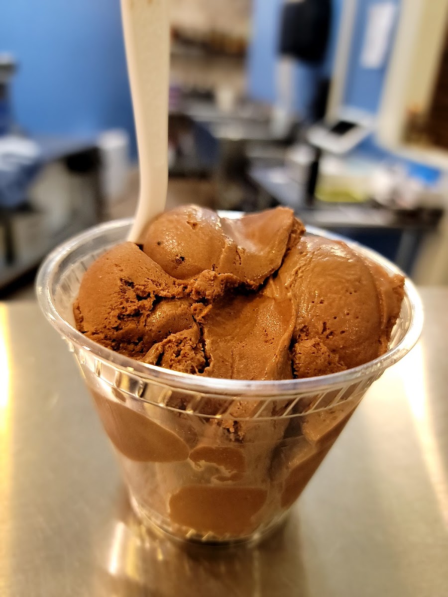 Mount Desert Island Ice Cream Photo 9