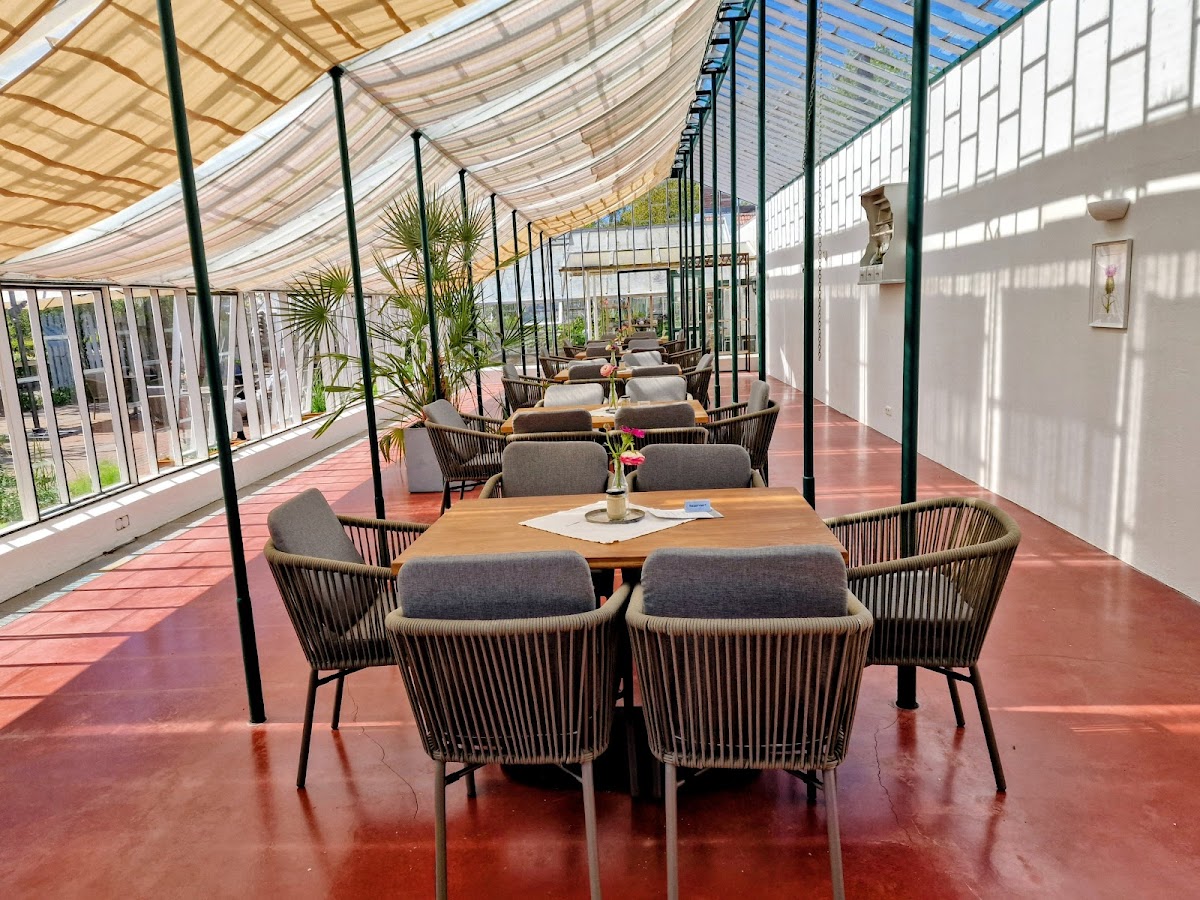Palmenhaus Café von Sophie e.K. Photo 2