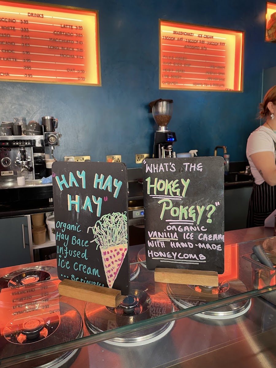 Brass Monkey Ice Cream Photo Menu 9