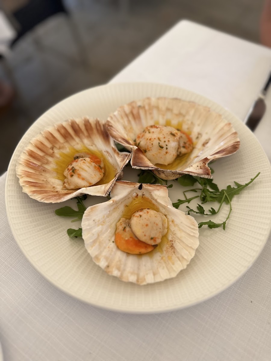 Beccafico Guna Restaurant Photo 7