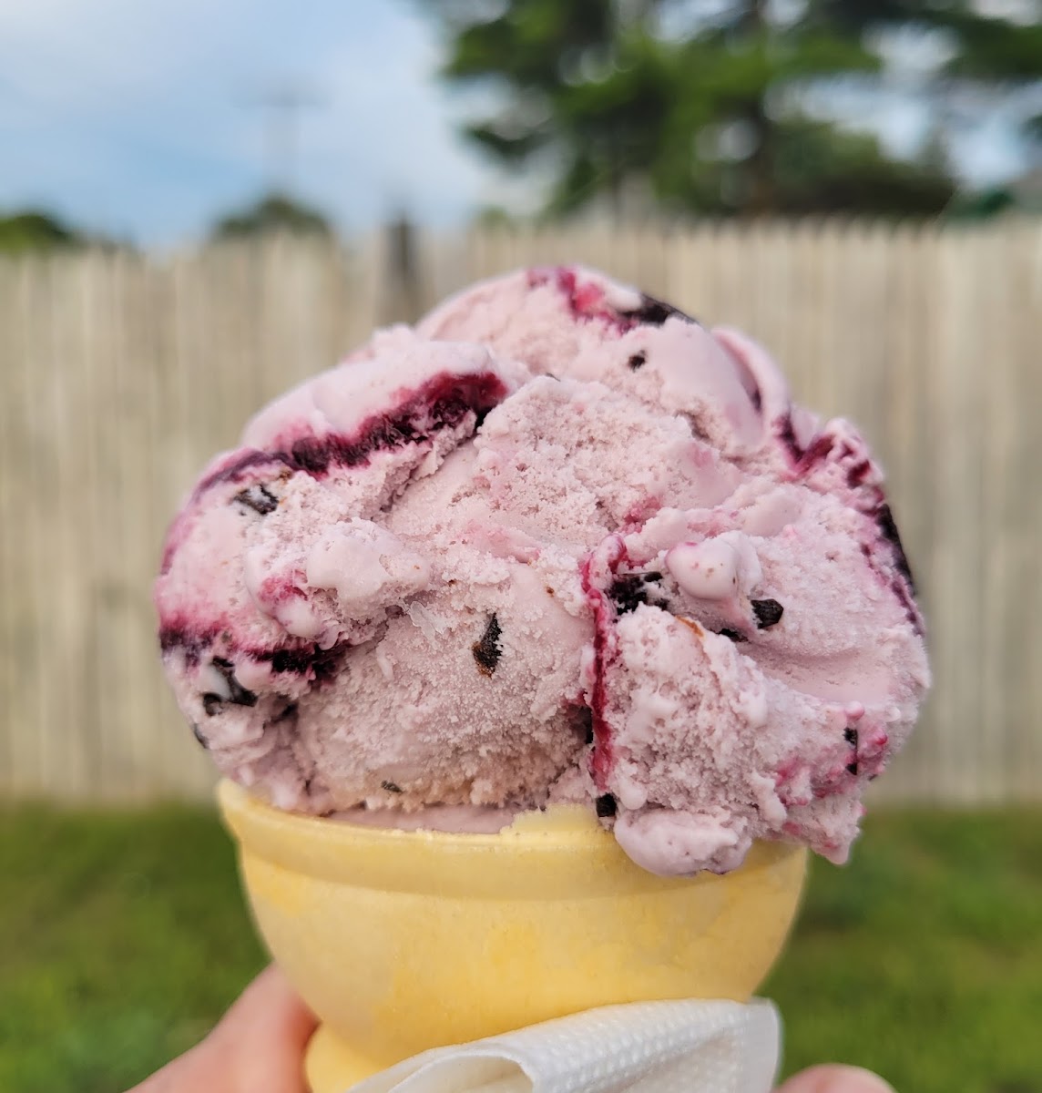 Mooney's Ice Cream Parlor Photo 5