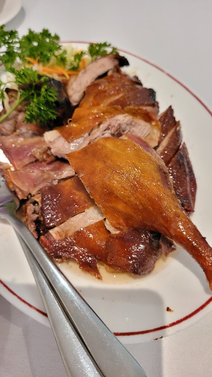 Mandarin Inn Photo 5