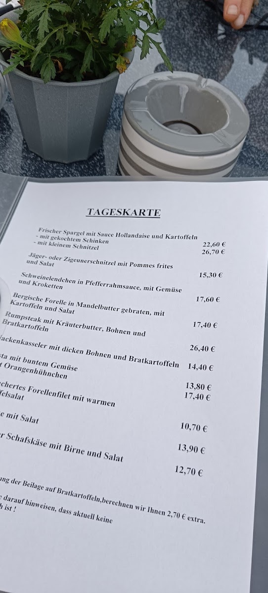 Roger's Restaurant Photo Menu 1