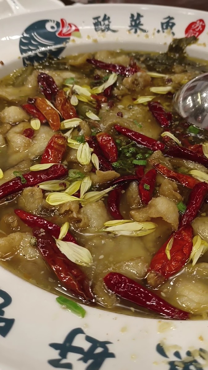 Suji - Suan Cai Yu | 23 Paskal Photo 2
