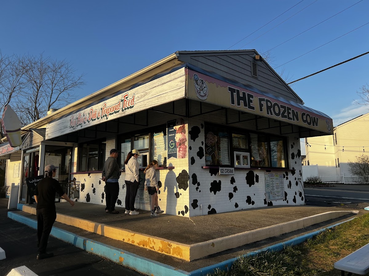 The Frozen Cow
