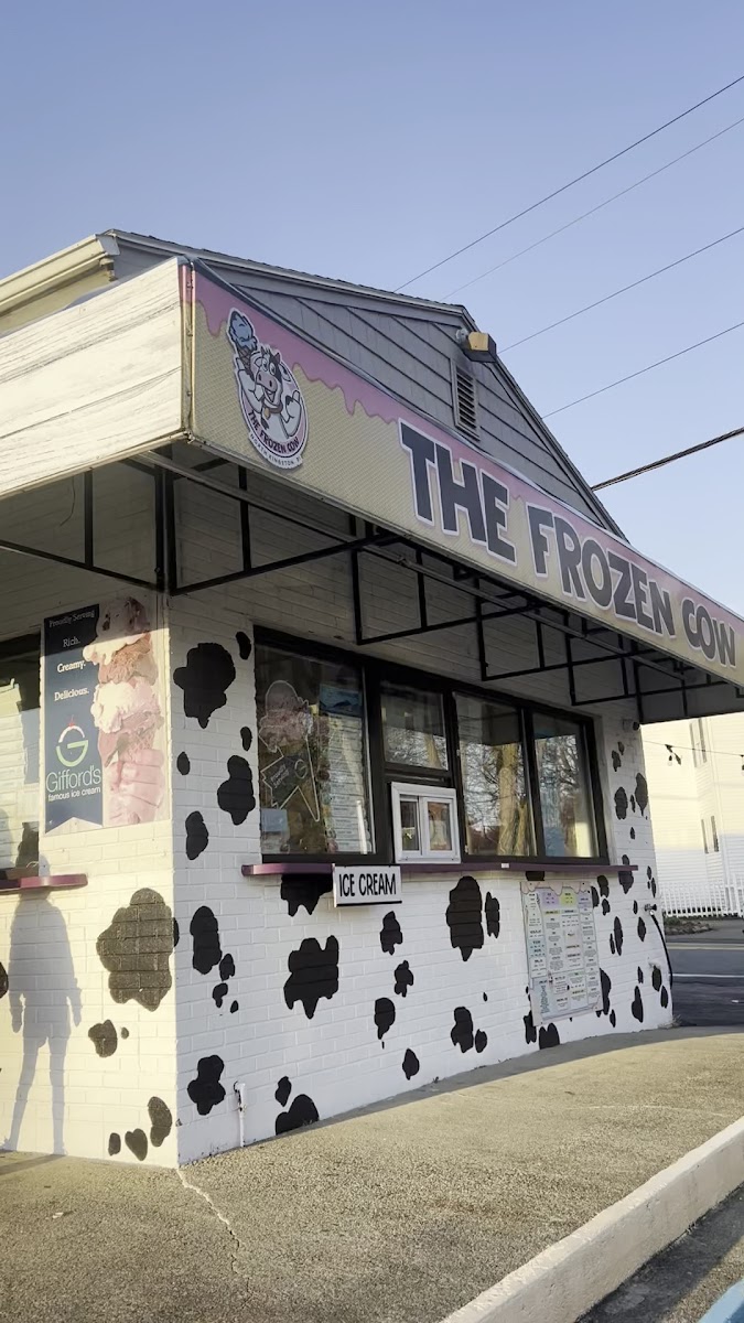 The Frozen Cow Photo 5