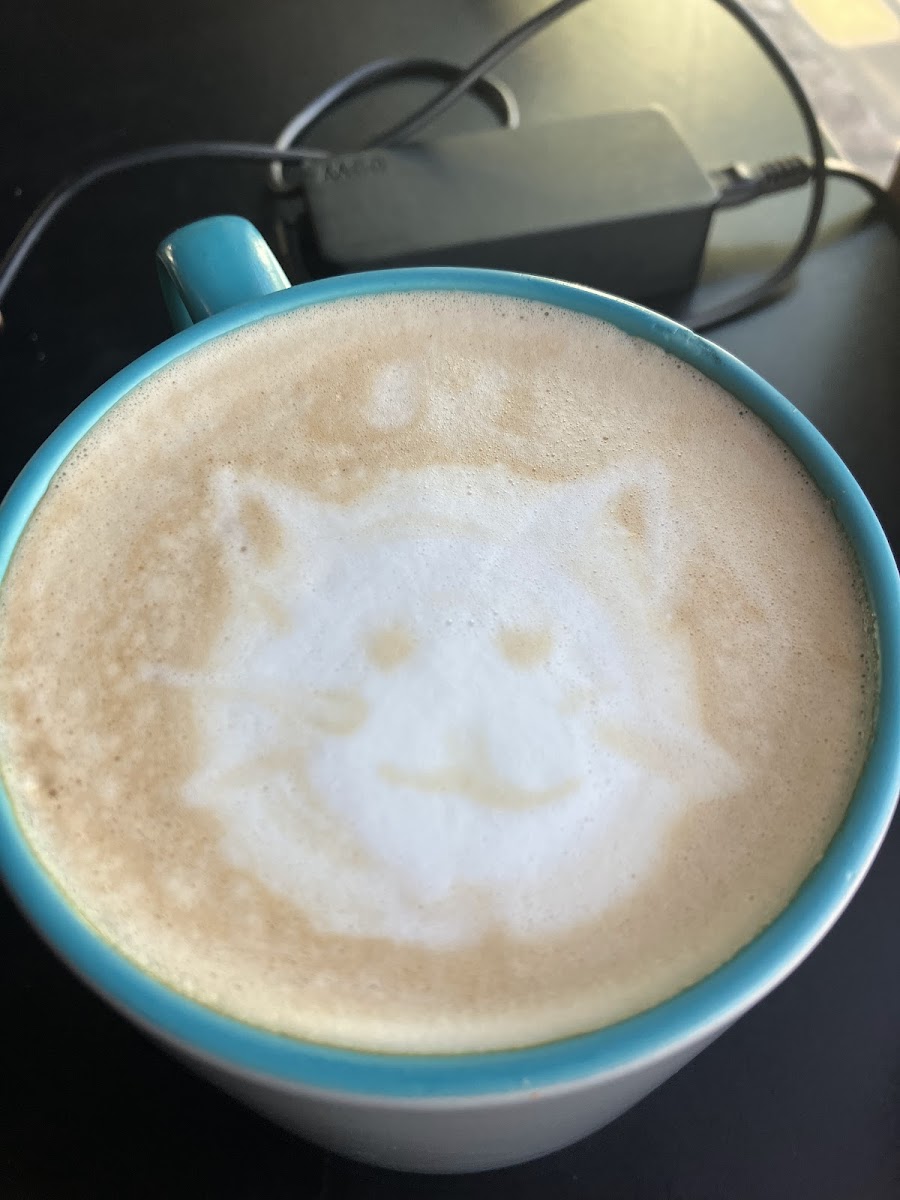 Zola's Cafe Photo 4