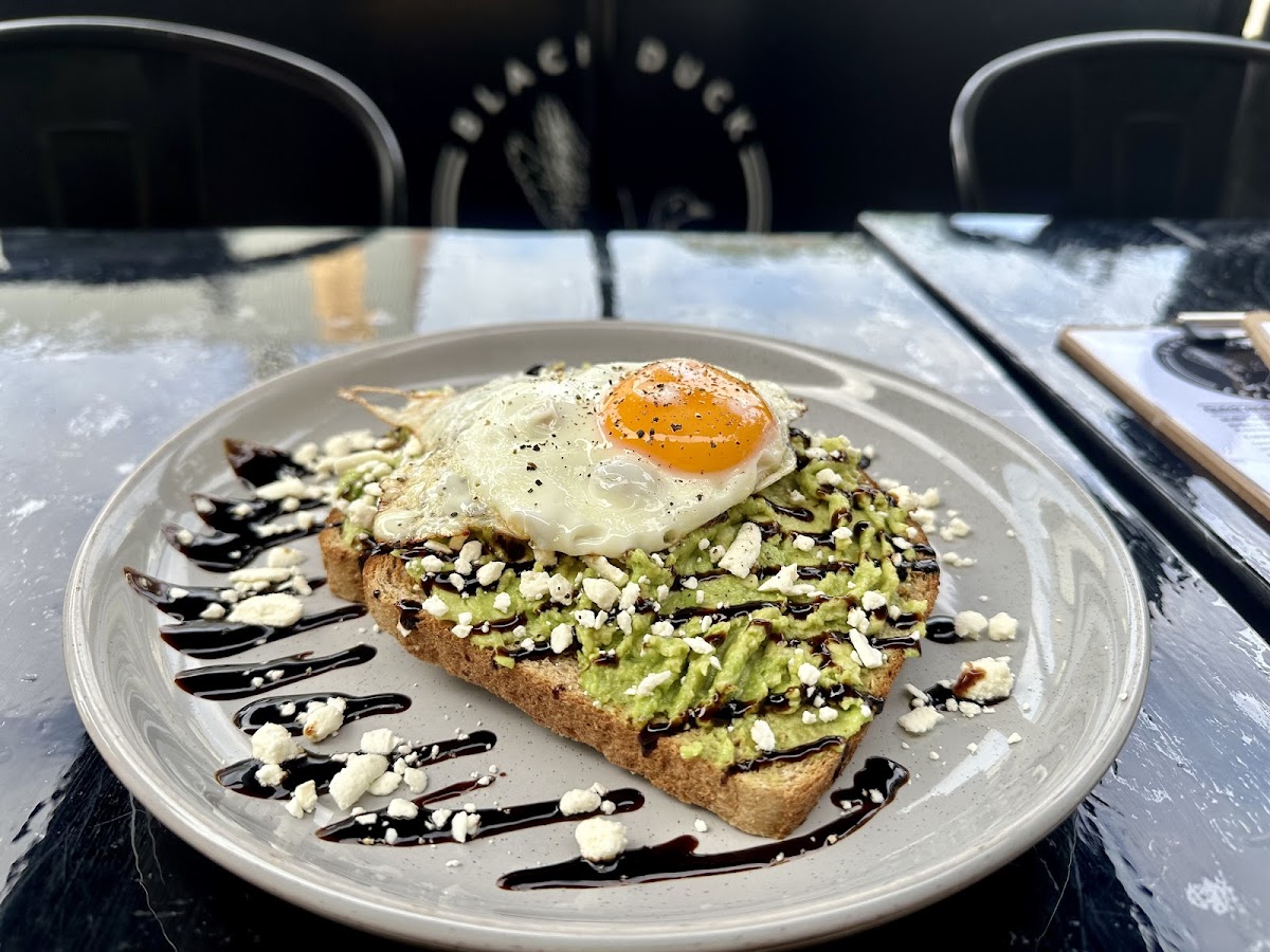 Black Duck Espresso Cafe Photo 8