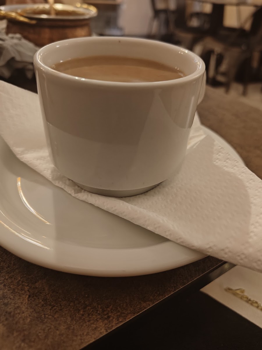 Incredible India Dubrovnik Photo 6