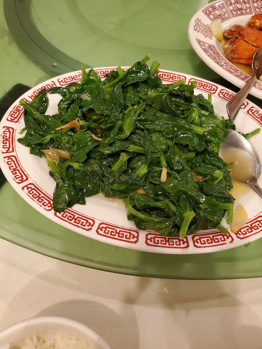 Silver Palace Restaurant Photo 9