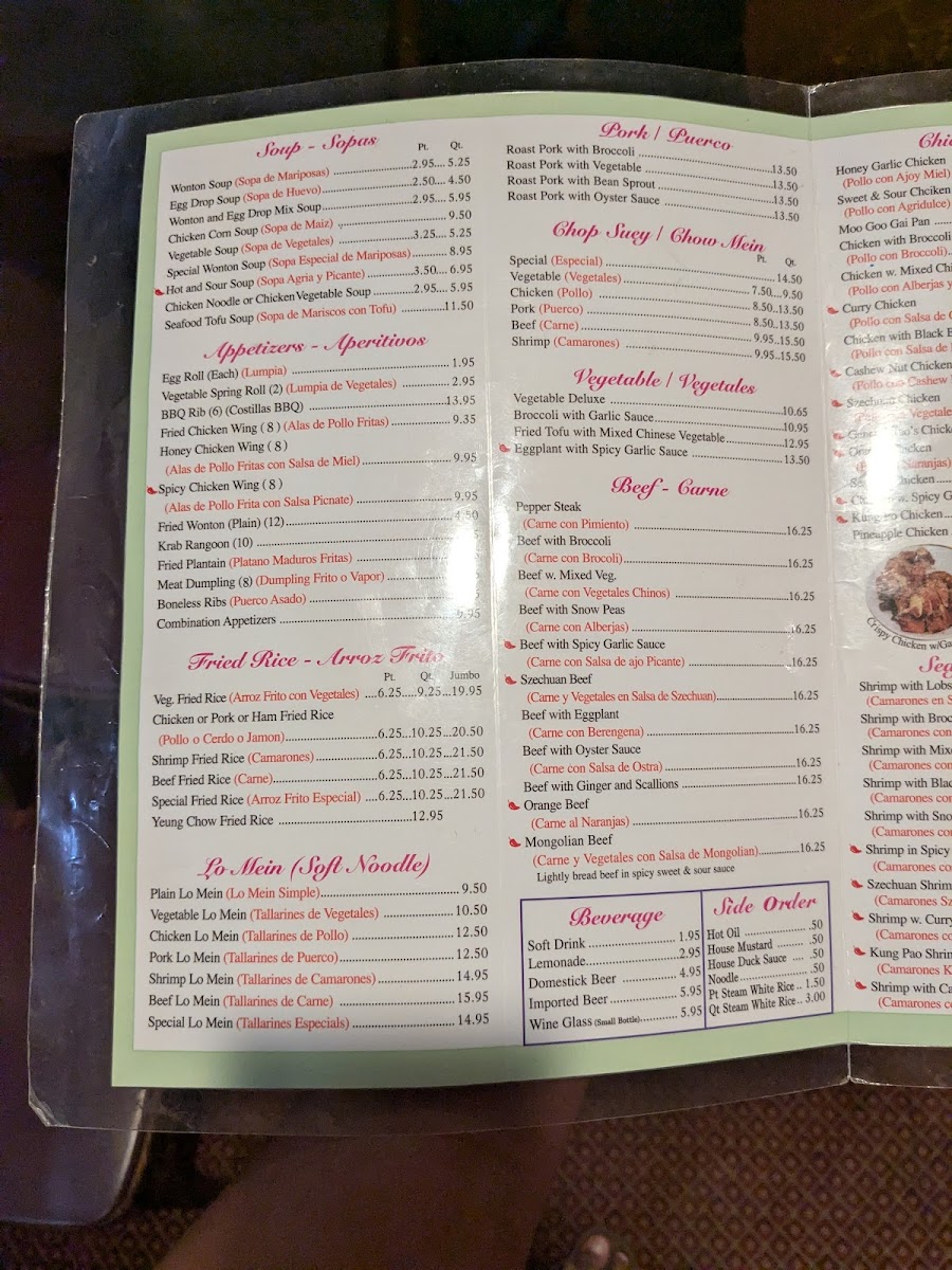 Silver Palace Restaurant Photo Menu 9
