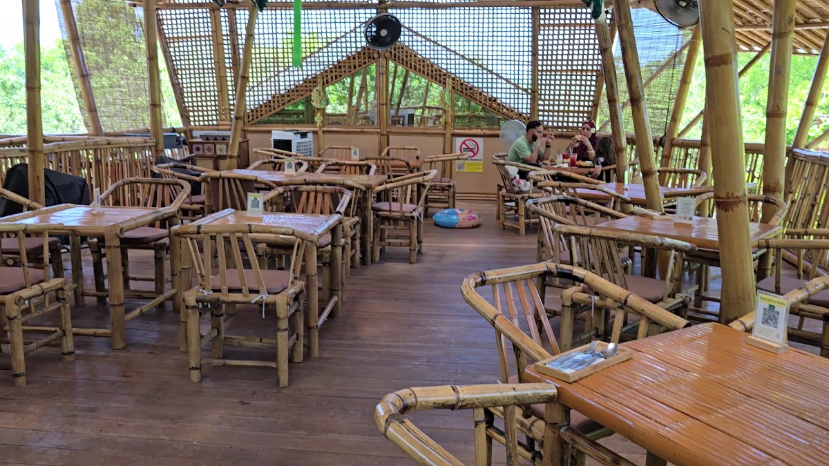 Golden Bamboo Cafe Photo 3