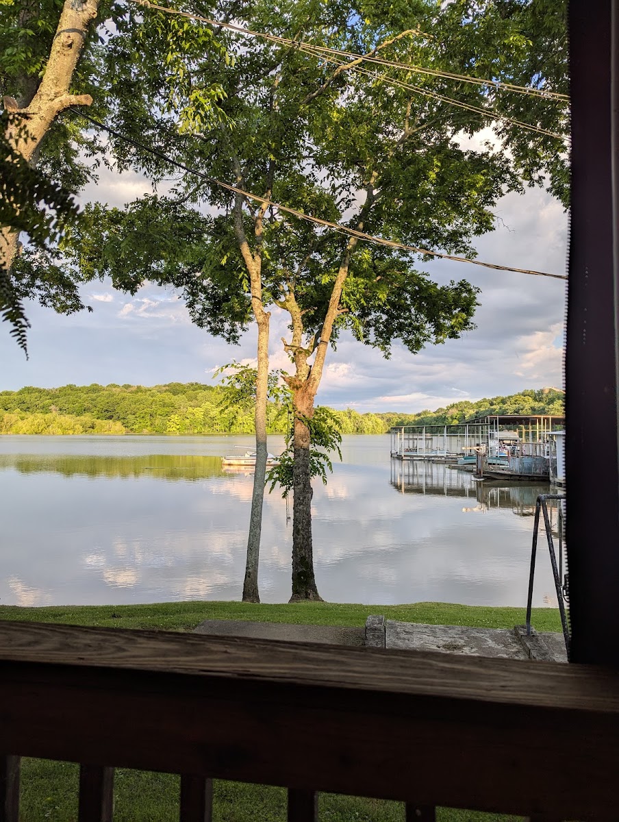Shady Cove Restaurant & Tiki Bar LLC Photo 4
