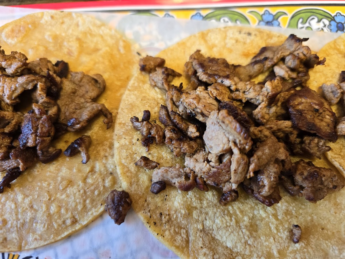 Canterero Mexican Grille Photo 9