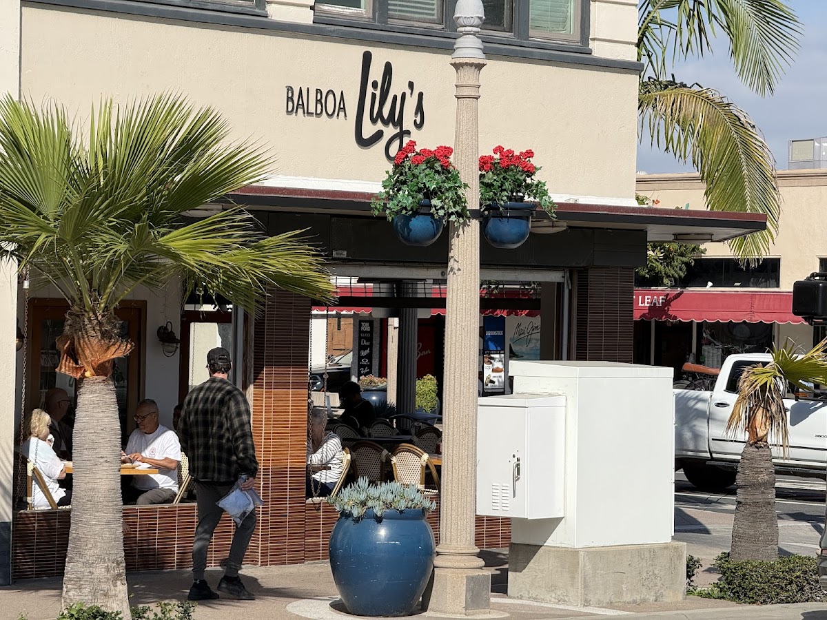 Balboa Lily’s