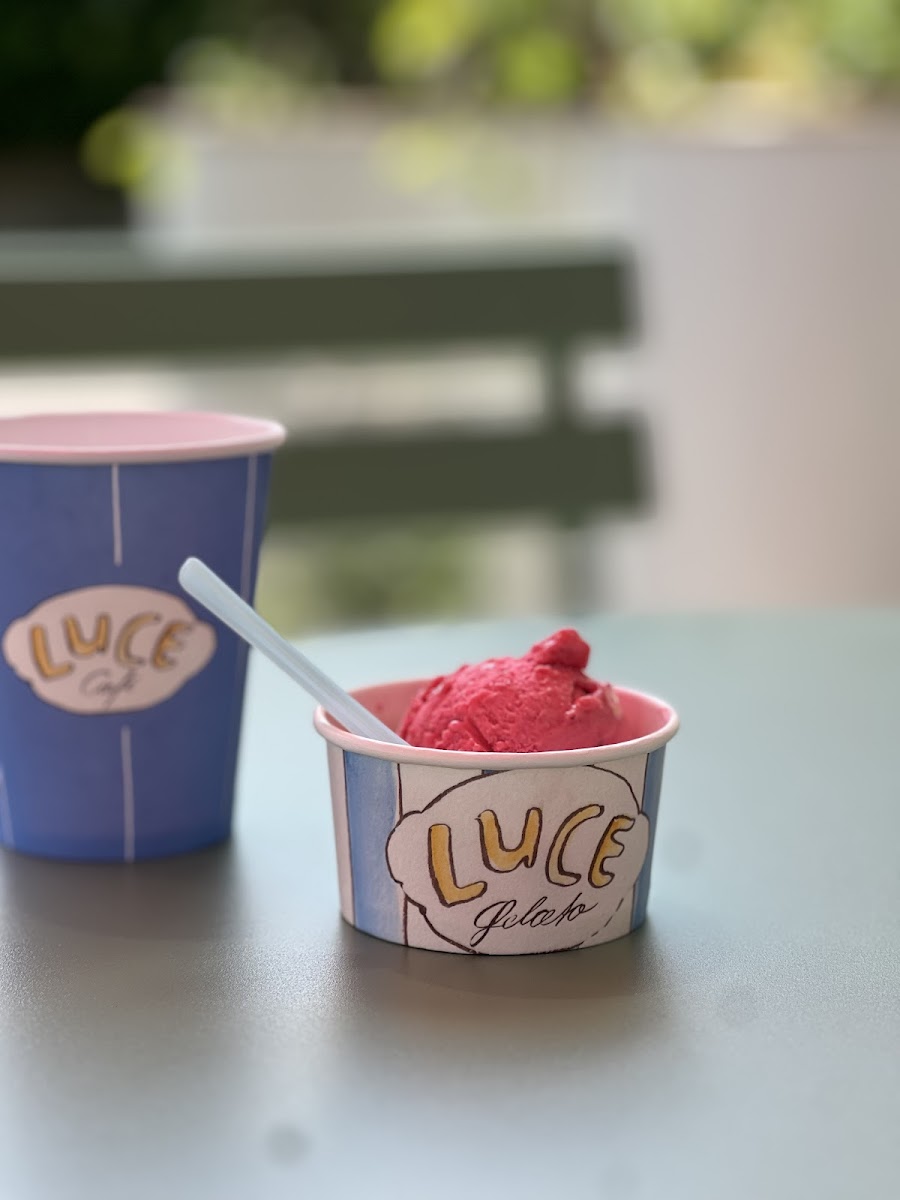 Luce Gelato & Café – Gartenterrasse Photo 6