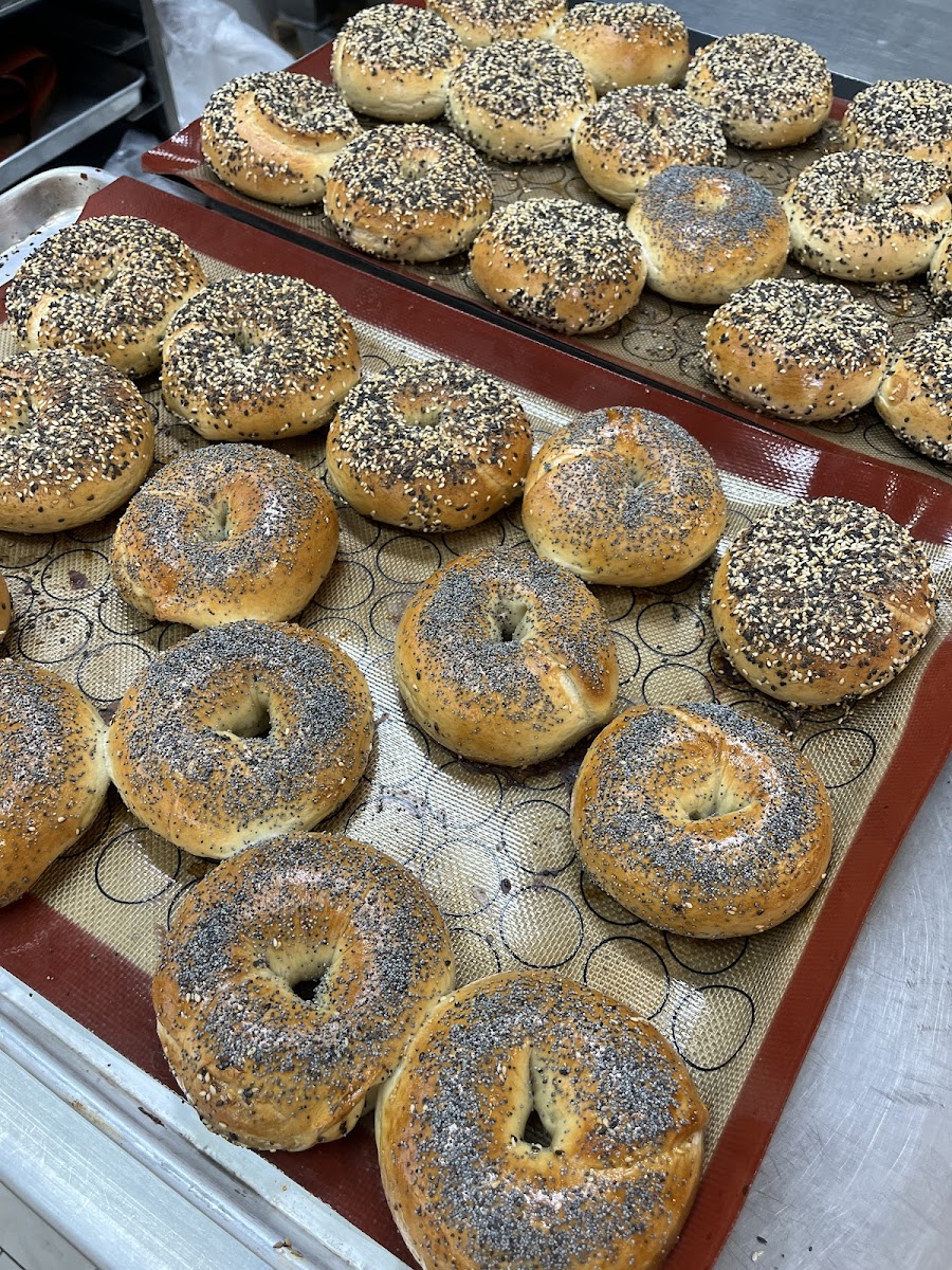 SYDNY BAGELS Photo 4