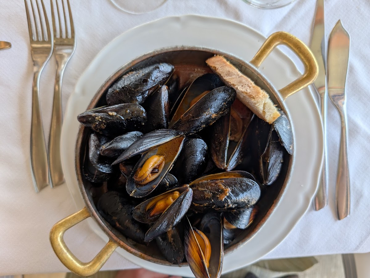 Ristorante Bagno Il Delfino Photo 6