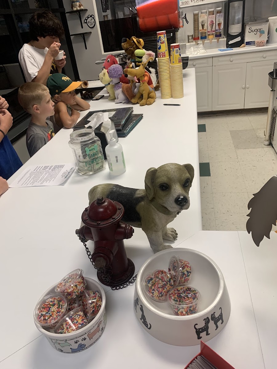 Kip's Ice Cream Photo 8
