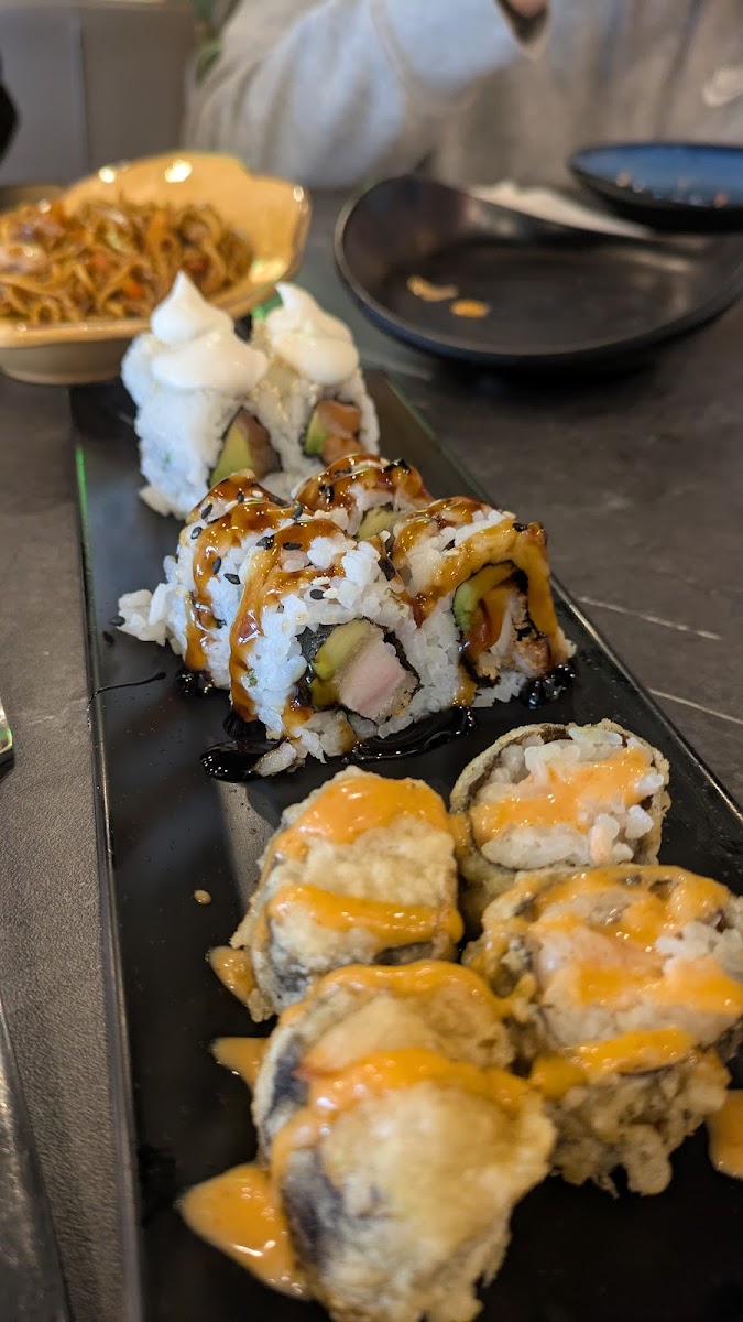 HANZO SUSHI Photo 4