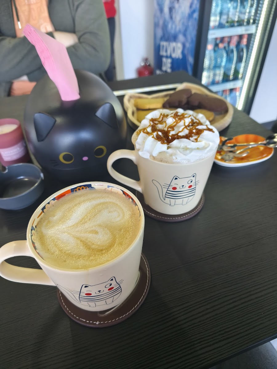 Cattuccino Photo 3