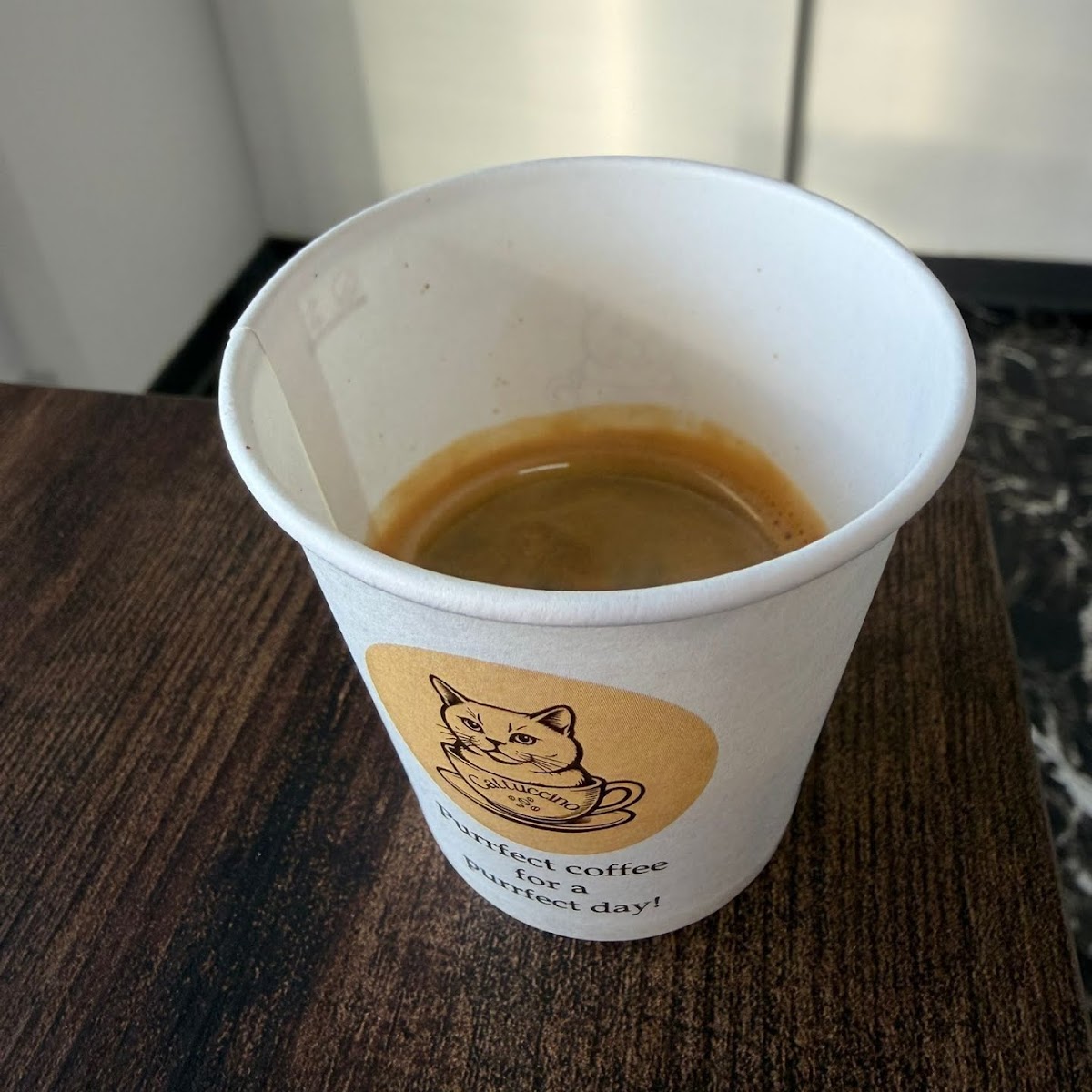 Cattuccino Photo 4