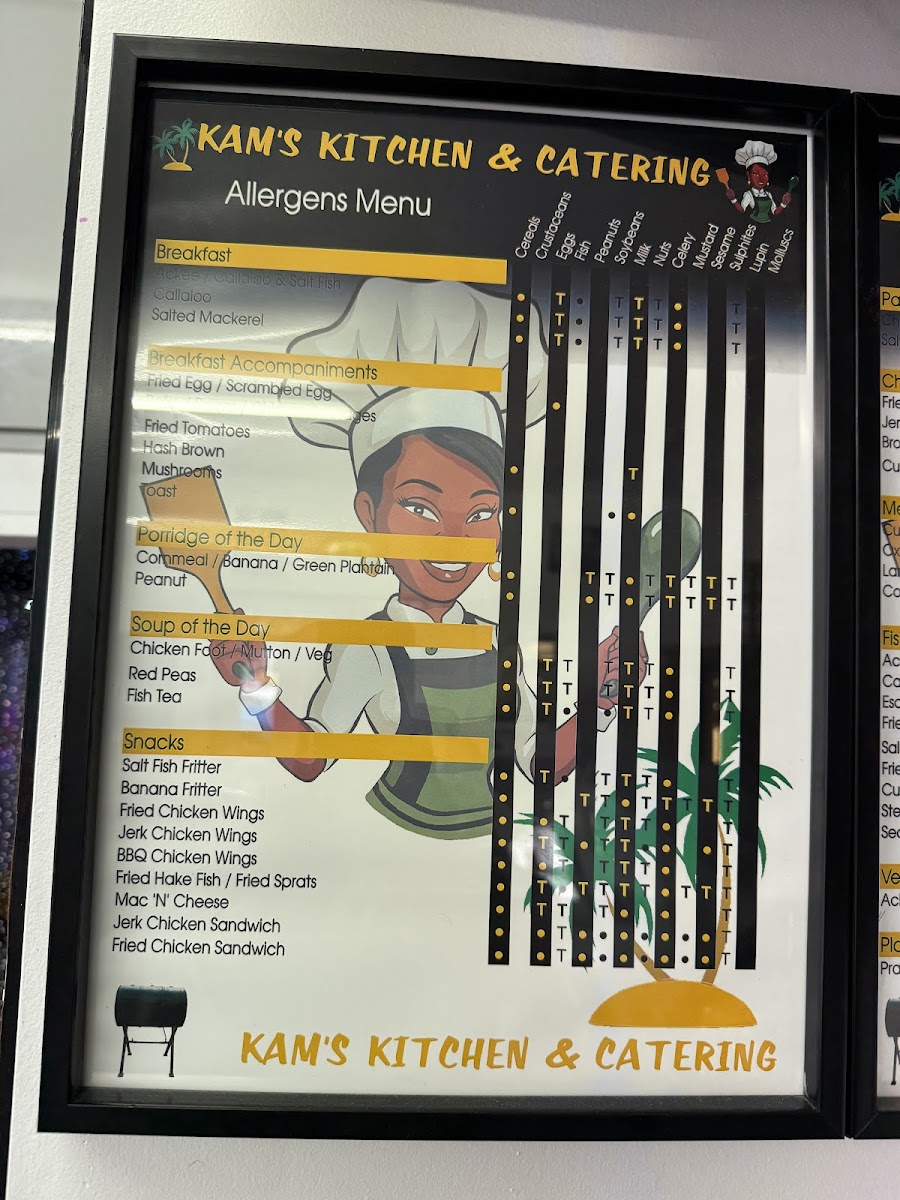 Kam's Kitchen Photo Menu 4