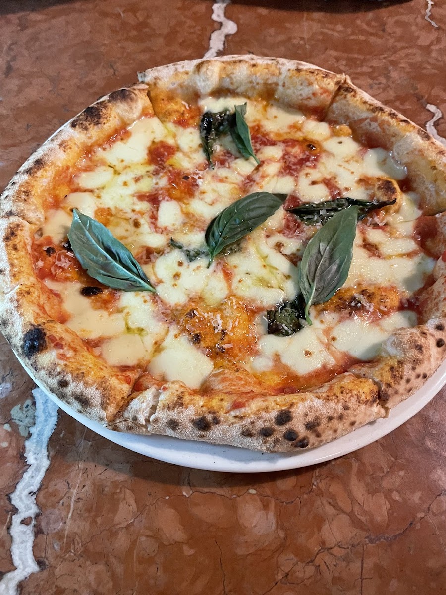Lago Cucina Photo 4