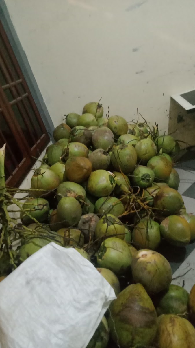 Warung teras es degan tahuh telor Photo 9