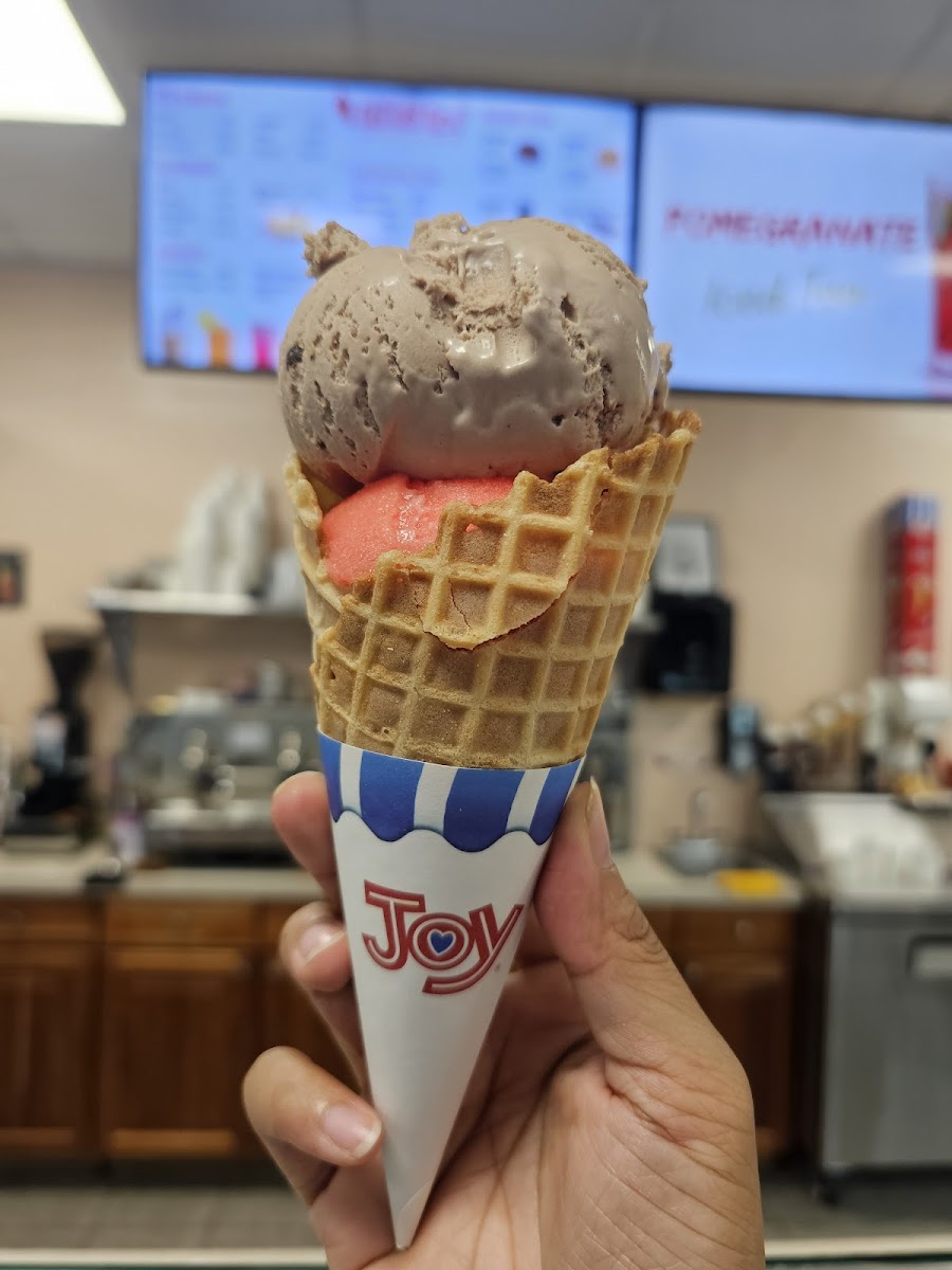 Dubl Twister Ice Cream Photo 8