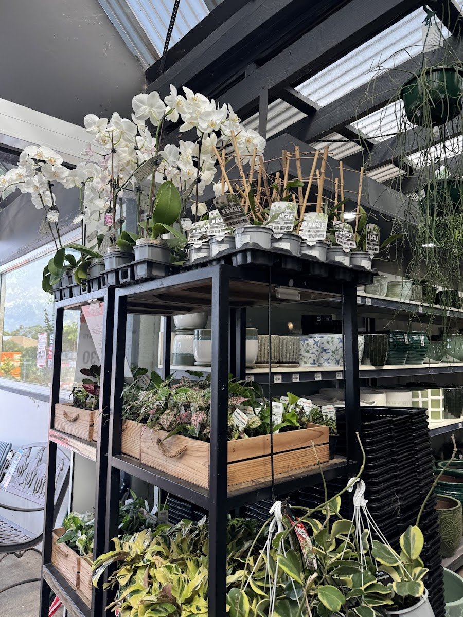 THE ORCHARD HILLS CAFE Photo 7