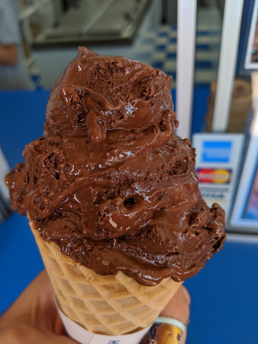 Handel's Homemade Ice Cream Photo 5