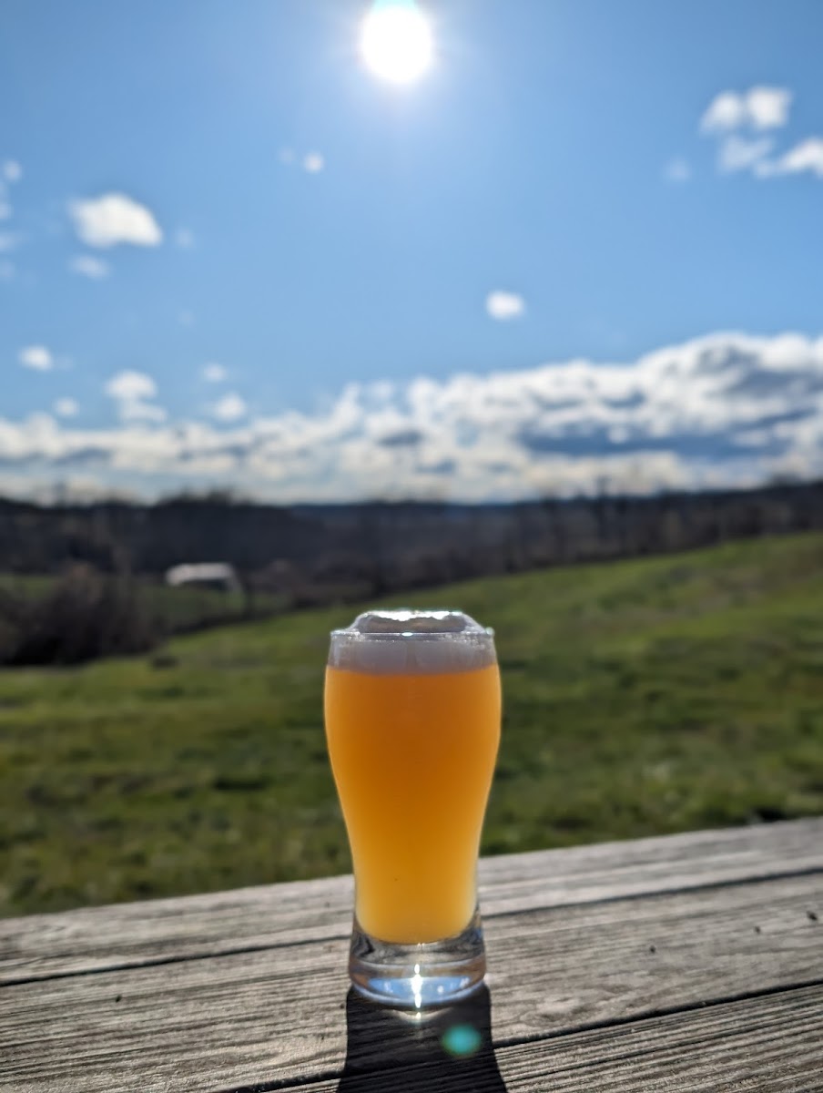 Rising Silo Brewery Photo 5