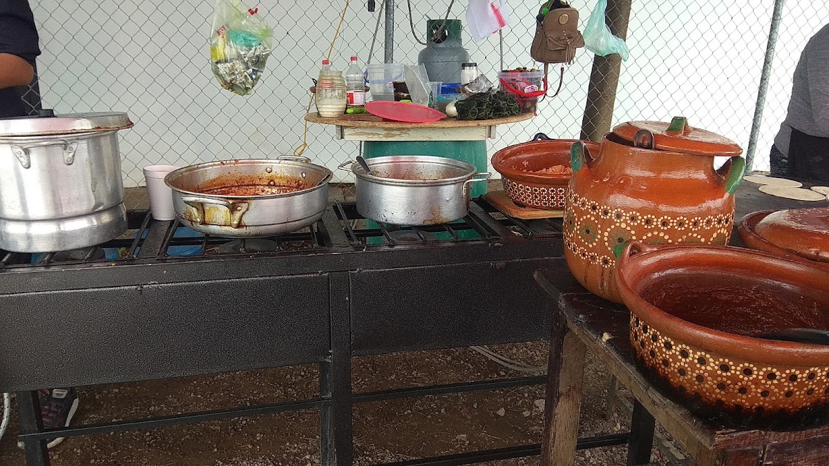 Los Tabachines Photo 5