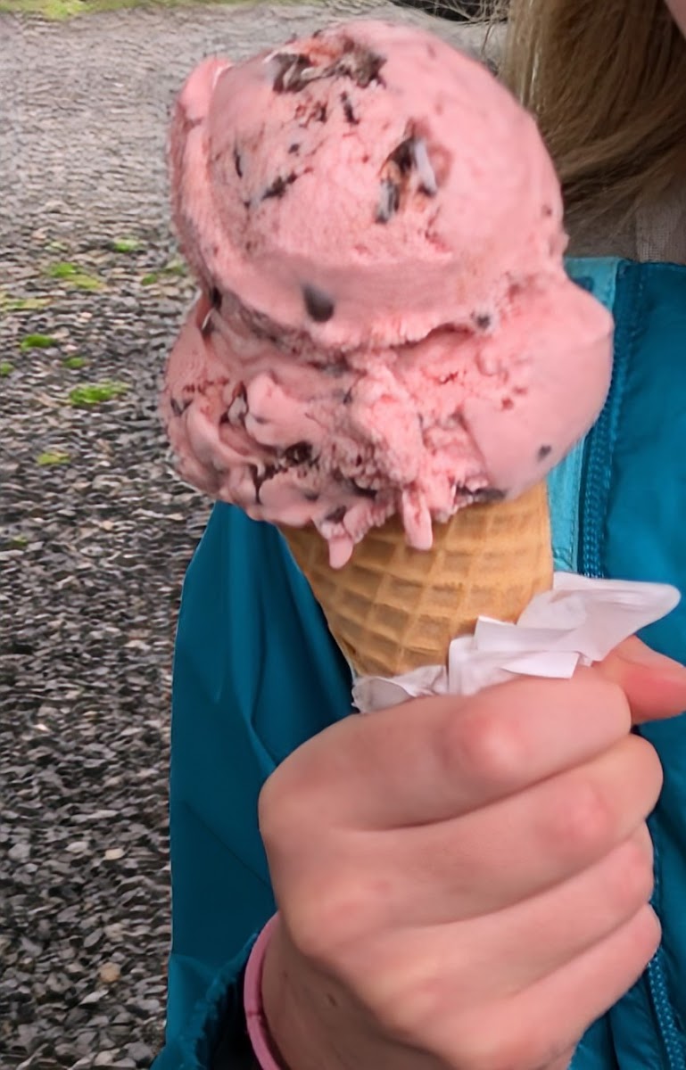 Dorman's Dairy Dream Inc Photo 7